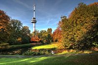 Colors of fall at the Euromast in Rotterdam