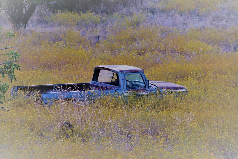 Altamerikanisches Auto im Blumenfeld von Paul Franke