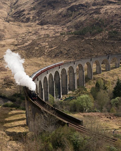 The Hogwarts Express par Marloes van Pareren