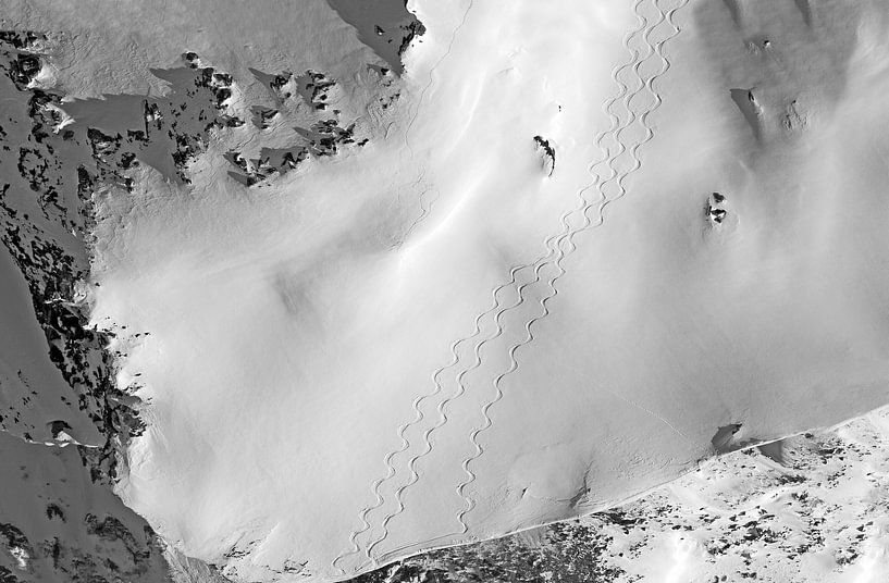 Tracks in the snow by Christa Kramer