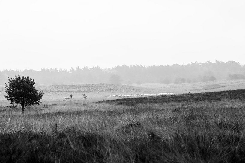 Peace and Serenity von Linda Hutten