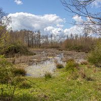 A river meanders through the landscape