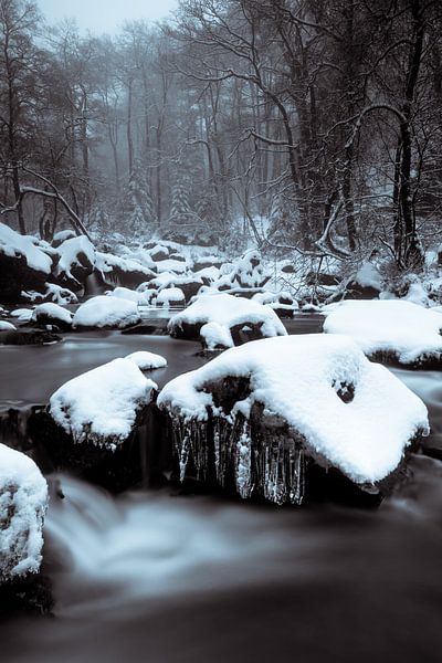 Val de la Hoegne 26 von Deshamer