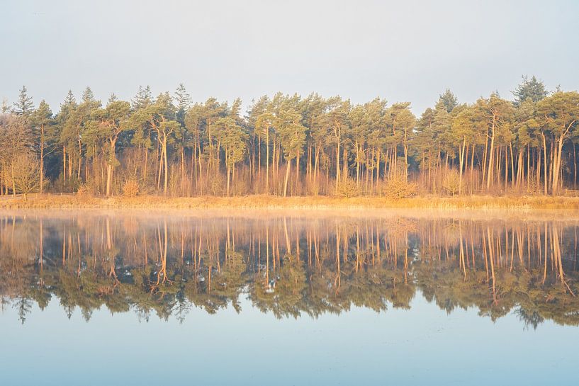 Reflection of trees in the water at sunrise by Margreet Riedstra