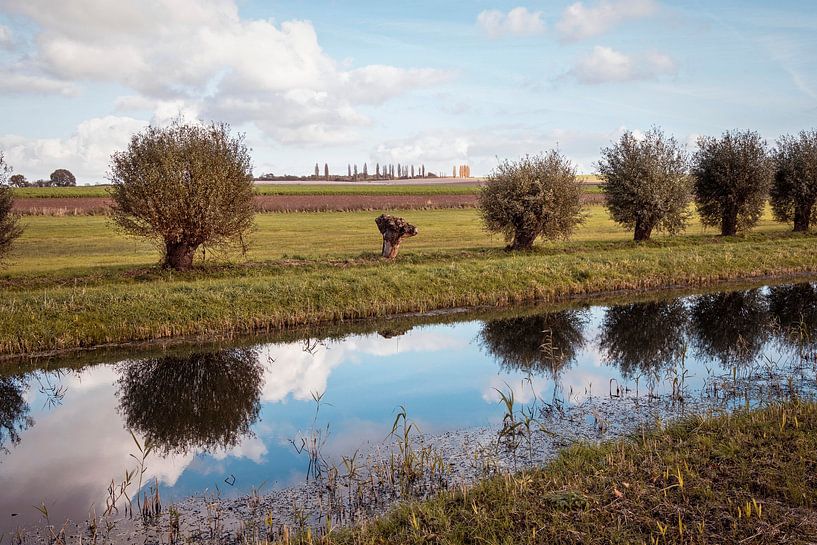 Petite Toscane par Rob Boon