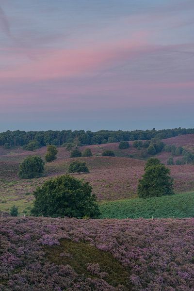 Zonsopkomst boven de Posbank par Sjoerd van der Wal Photographie