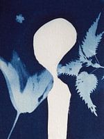 Cyanotype Art print - Who or what are you shutting out?