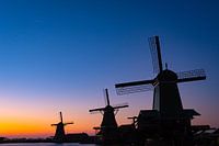 Dutch Sunset