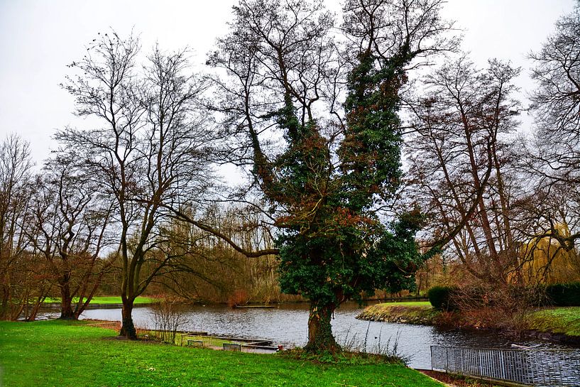 Vue du terrain de golf par Edgar Schermaul