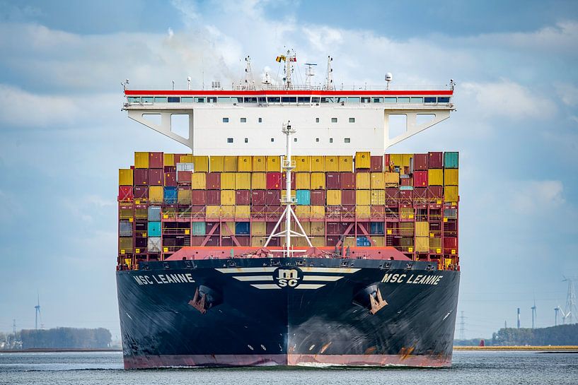 MSC Leanne van Luc De Cock