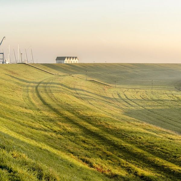 Polder landscape in the morning. by Alie Ekkelenkamp