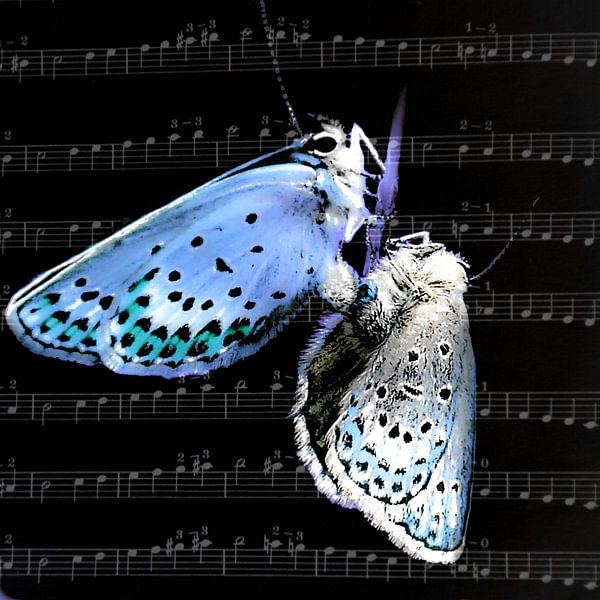 blue hour by Christine Nöhmeier