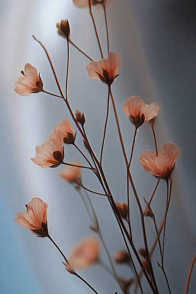 L'arrivée du printemps par Studio BB