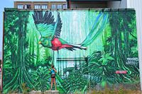 Art de rue avec en Quetzal à Eindhoven Brabant Nord