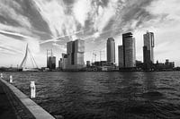 (Sky)Line Kop van Zuid - Rotterdam