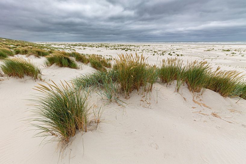 Juist par Dirk Rüter