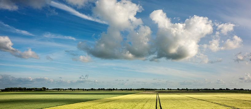 Lots of space in the polder by Bo Scheeringa Photography