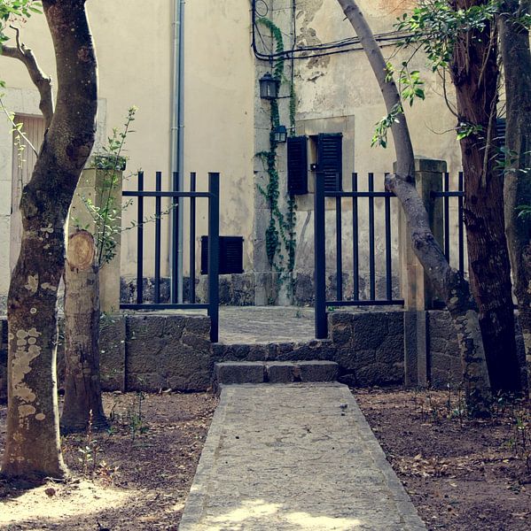 Jardin Rei Joan Carles by Arjen van de Belt