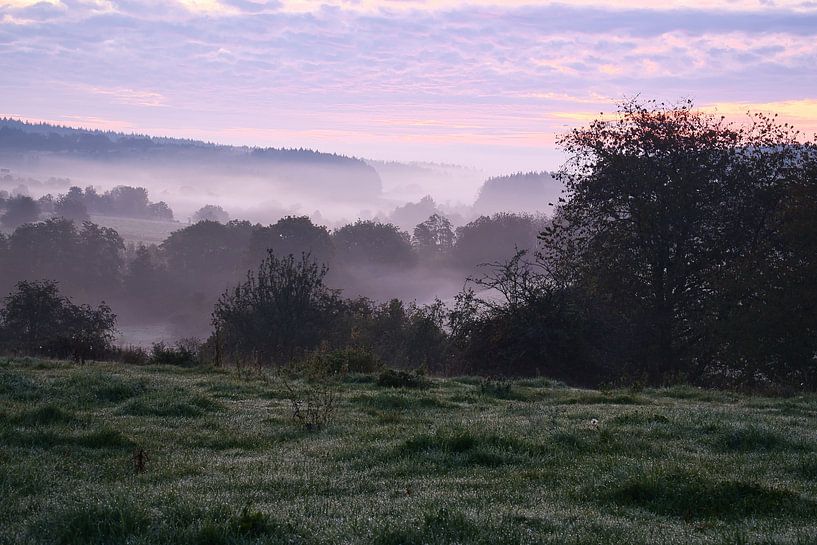 Tree in a meadow in the fog at sunrise by Martin Köbsch
