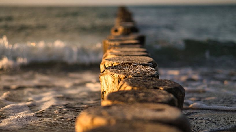 Ins Meer ragende Buhnen. Aufgenommen in Zingst, auf dem Darß. Die Perspektive ist auf den Horizont g von Martin Köbsch