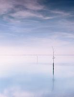 Fishing net poles in Lake Veere