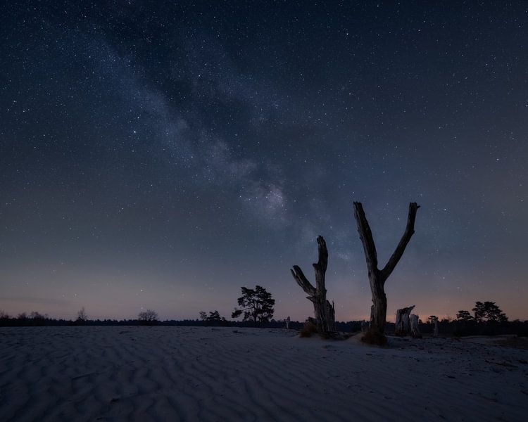 Galaxie sur la Veluwe par Jeroen Linnenkamp