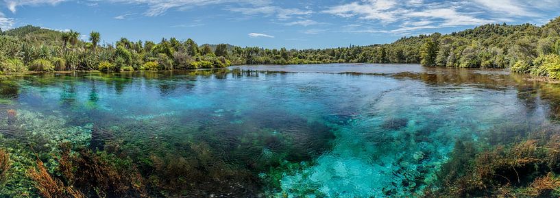 Pupu Springs, Golden Bay, NZ, Nouvelle-Zélande par Pascal Sigrist - Landscape Photography