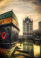 White House, Rotterdam