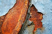 Rost
