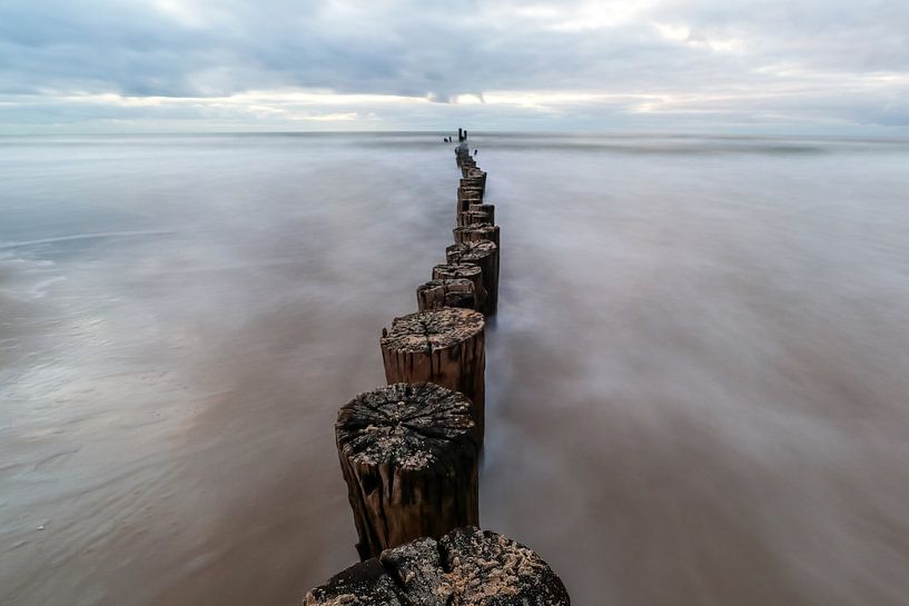 Palen naar de horizon von peterheinspictures