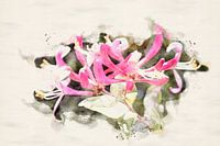 Honeysuckle in bloom