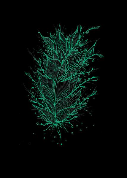 Turquoise feather by Sebastian Grafmann