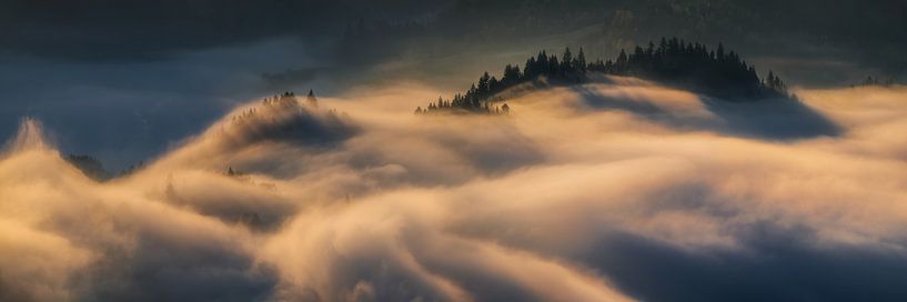 Montagnes Pieniny par Wojciech Kruczynski