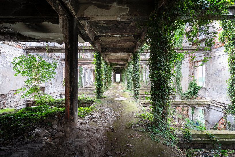 Corridor cultivé abandonné. par Roman Robroek - Photos de bâtiments abandonnés