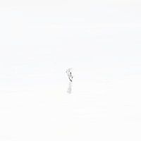 Minimalist beachcomber