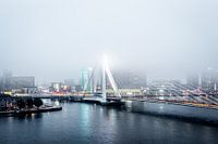Rotterdam Erasmusbrug in de mist
