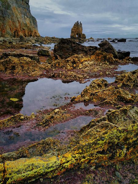 Beach Asturias by Saskia Dingemans Awarded Photographer