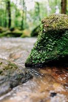 Sprookjesachtig Luxemburg - het Müllerthal