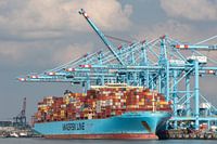 Maersk containership under the cranes on the second Maasvlakte