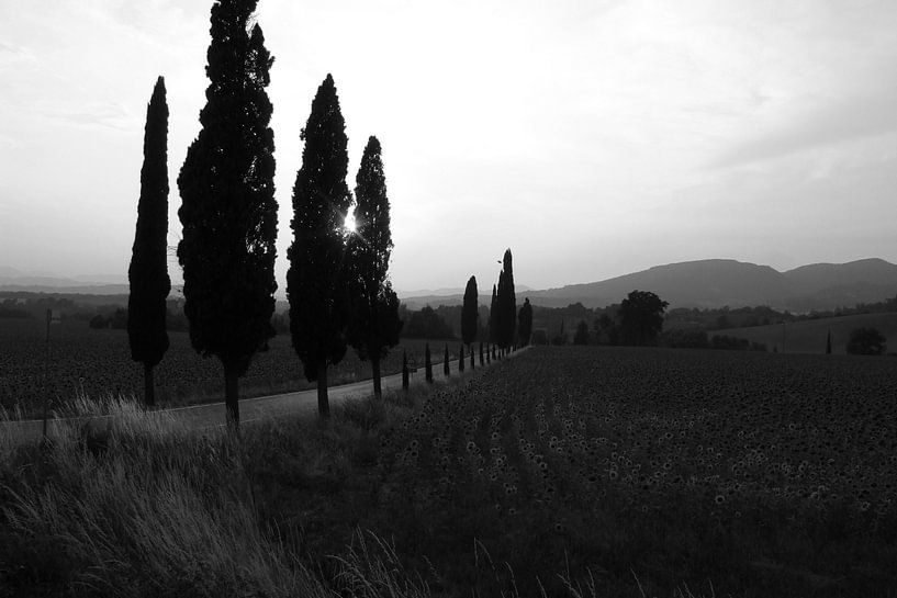 Coucher de soleil Italie Toscane en été noir et blanc par Edith Wijte