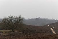 Nieseltag auf der Posbank