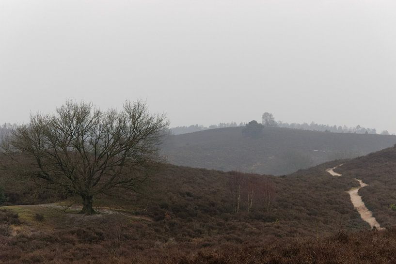 Nieseltag auf der Posbank von Patrick