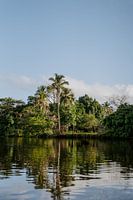 Photographie de voyage 