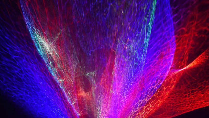 Energy Flower von Jo Tiane Art