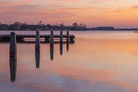 Schilfpfütze, Emmen