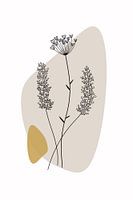 Nature Drop Edition I