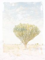 Kaktusbaum in Pastellfarben