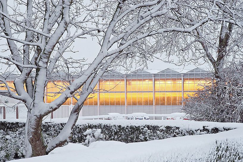 A horticultural greenhouse with orange growing lights surrounded by white snow by Gert van Santen