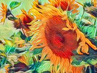 Die Sonnenblume steht für Glück, Liebe, Vertrauen, Bewunderung, Kraft und Sonnenschein