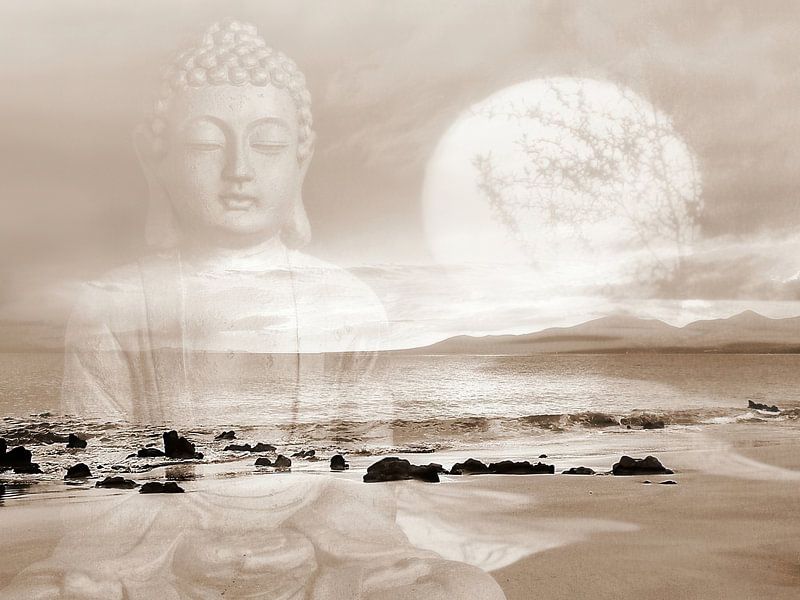 Peace Buddha Lanzarote Beach by Renate Knapp